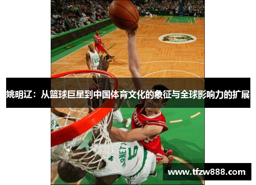 姚明辽：从篮球巨星到中国体育文化的象征与全球影响力的扩展