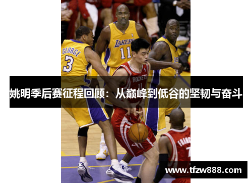 姚明季后赛征程回顾：从巅峰到低谷的坚韧与奋斗
