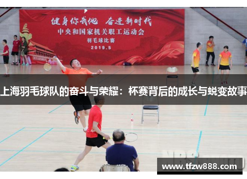 上海羽毛球队的奋斗与荣耀:杯赛背后的成长与蜕变故事