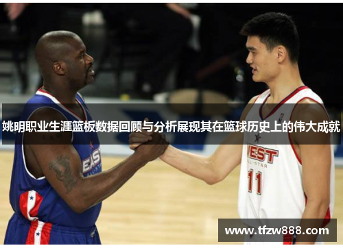 姚明职业生涯篮板数据回顾与分析展现其在篮球历史上的伟大成就