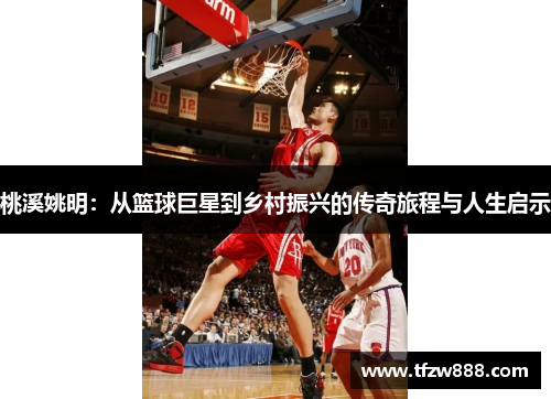 桃溪姚明：从篮球巨星到乡村振兴的传奇旅程与人生启示